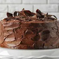طرز تهیه کیک شکلاتی وگان برای گیاه خارها