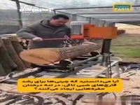روش جالب پرورش قارچ بر روی تنه درختان 