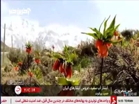 آبشار آب سفید، عروس آبشارهای ایران