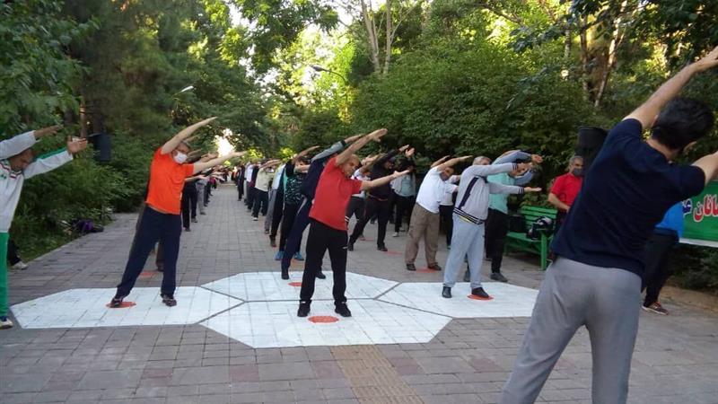 جایگاه ورزش همگانی بوشهر در سطح ملی ۱۰ رتبه ارتقا یافت
