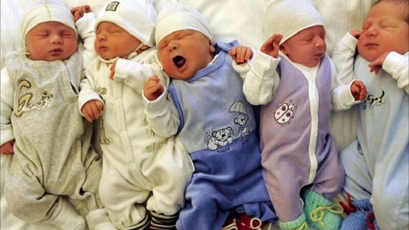 ۵۹۳ خانوار دارای فرزند چندقلو تحت پوشش بهزیستی البرز هستند