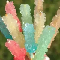 نبات چوبی خانگی؛ ترکیب طعم سلامت و خاطرات خوش!