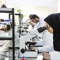 احداث پارک سلامت در قزوین کلید خورد/ عقب‌ماندگی‌های پژوهشی جبران می‌شود