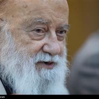 چمران: مالکان ترجیح می‌دهند ملک‌شان باغ نباشد!