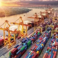 مخاطرات ابلاغ وارداتی