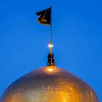 حکمت/ ویژگی بهترین بندگان در حدیث امام رضا (ع)