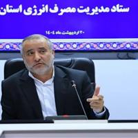 استاندار خراسان جنوبی: مدیریت مصرف انرژی باید به یک مطالبه عمومی تبدیل شود