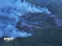 آتش‌سوزی‌ گسترده در جنگل‌های غرب سوریه