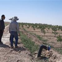 ۴ پروژه سیستم نوین آبیاری در گرمسار تحویل شد