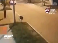 طبیعی‌ترین حرکت برای فرار از دست پلیس!