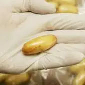 جاسازی 2.5 کیلو کوکایین در معده؛ مسافر ایران در فرودگاه بازداشت شد