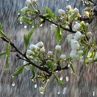 هواشناسی استان اردبیل هشدار سطح زرد صادر کرد