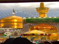 استوری/ عشق یعنی که دَمی بشنوی از نامِ رضا