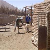 هشدار دامپزشکی طبس در خصوص بیماری هاری