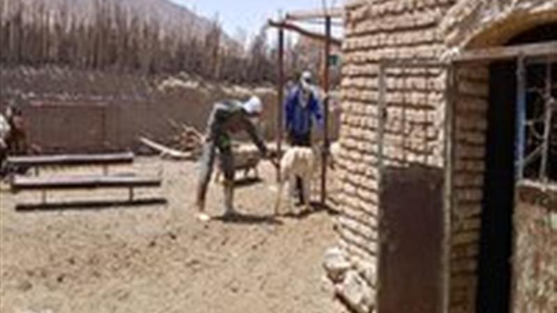 هشدار دامپزشکی طبس در خصوص بیماری هاری