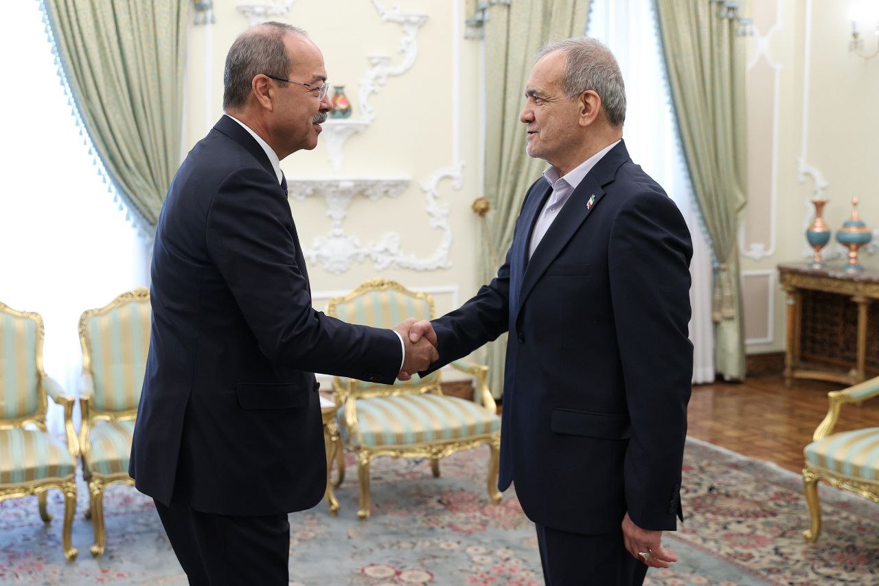 عکس/ دیدار نخست وزیر ازبکستان با رئیس جمهور