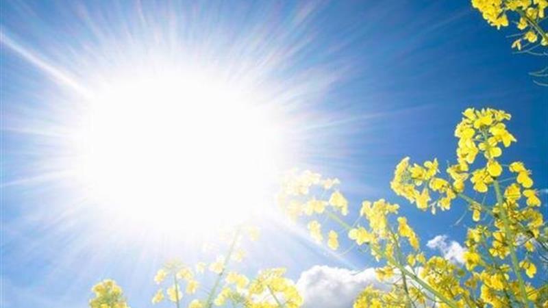 آرامش نسبی هوا تا چهارشنبه؛ گردوخاک و بارش پراکنده در راه گلستان