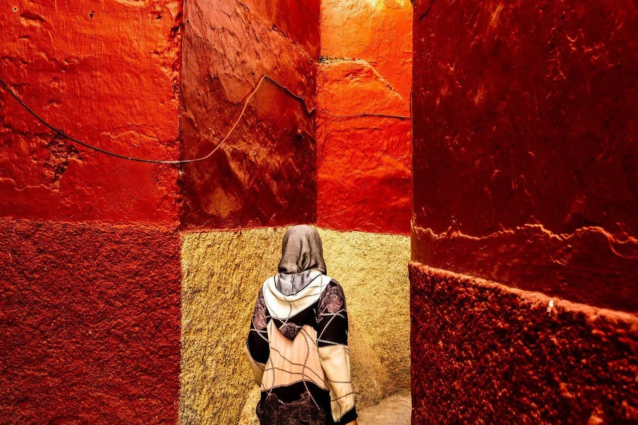 عکس/ برندگان مسابقه عکاسی رنگ‌ها ٢٠٢۵ مشخص شدند