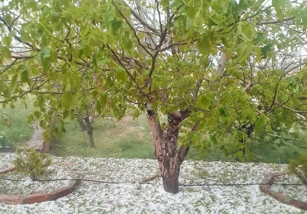 هشدار بارش تگرگ در شهرهای شمالی و شرقی آذربایجانشرقی
