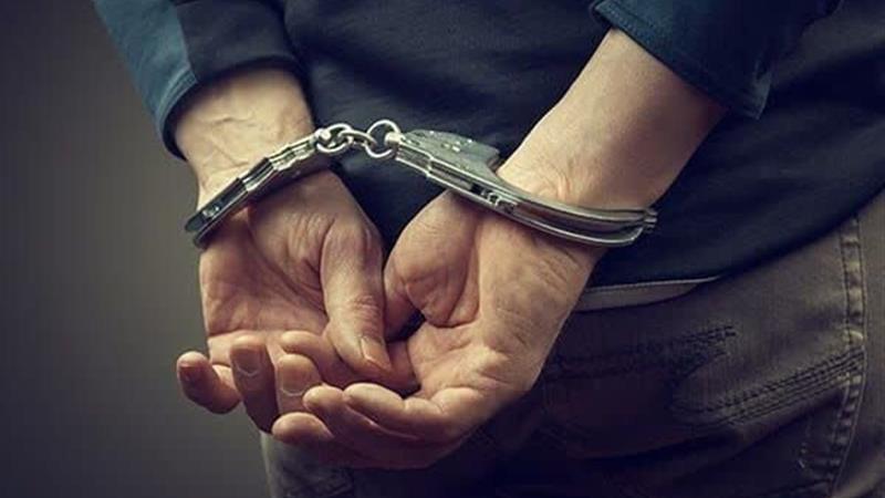 ۲ سارق نیروگاه خورشیدی در دامغان دستگیر شدند