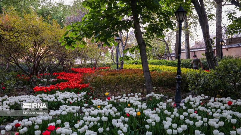 ۲۵۰ لیتر بر ثانیه پساب برای فضای سبز اراک خریداری شد