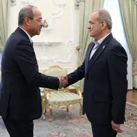 عکس/ دیدار نخست وزیر ازبکستان با رئیس جمهور