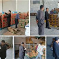 آغاز طرح نظارتی پایش انبار‌ها در خراسان جنوبی از امروز