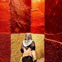 عکس/ برندگان مسابقه عکاسی رنگ‌ها ٢٠٢۵ مشخص شدند