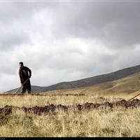تدوین برنامه ۲ هزار اشتغالزایی در بخش کشاورزی قزوین