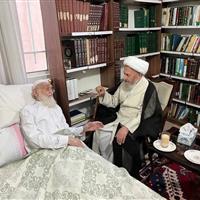 عیادت آیت‌الله سبحانی از آیت‌الله نوری همدانی در قم