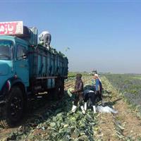 کامیون کاهو در قم، حامل پارچه میلیاردی از آب درآمد