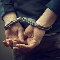 ۲ سارق نیروگاه خورشیدی در دامغان دستگیر شدند
