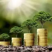 سرمقاله شرق/ سرمایه‌گذاری فقط مالی نیست