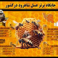 اینفوگرافیک | جایگاه برتر عسل شاهرود در کشور