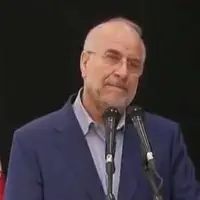 رئیس مجلس: هر کجا که کار را دست سیستم دولتی بسپاریم محکوم به شکست و ناکارآمدی است