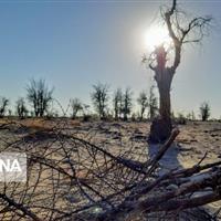 خراسان‌شمالی در گرداب خشکسالی و گرما