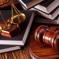 آخرین وضعیت رسیدگی به پرونده کثیرالشاکی ارز دیجیتال ترینوست