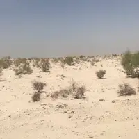 ۱۰۴ هزار هکتار از اراضی ملی همدان در معرض بیابان‌زایی!