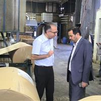 موفقیت یک شرکت دانش بنیان البرزی در کاهش مصرف برق کولرهای آبی
