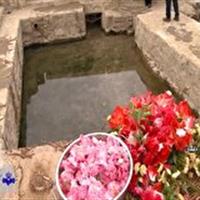 گرامیداشت روز ملی قنات در دلیجان