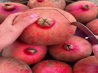 برشِ حرفه‌ای انار