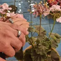 چرا صف وام ازدواج کم نمی‌شود؟