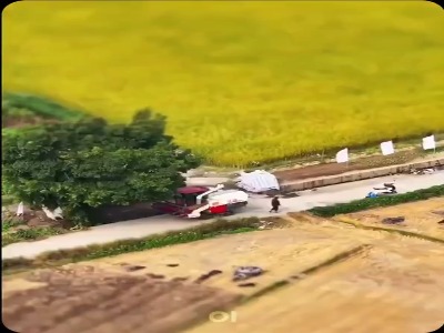 کشاورزی به صورت مینیمال