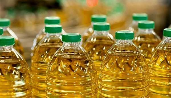 محکومیت قاچاقچی روغن در ایرانشهر