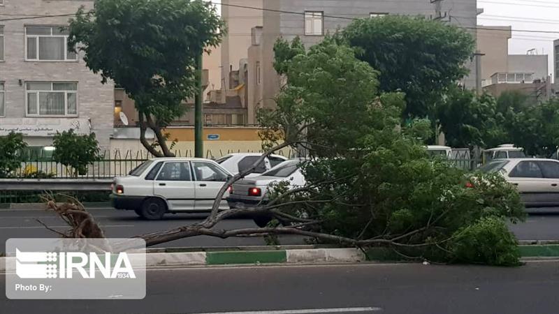 تندباد ۸۰ کیلومتری به خودروها و فضای سبز بجنورد خسارت زد