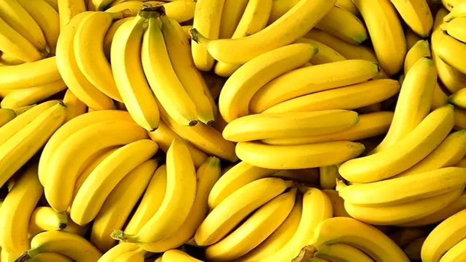 وقتی سیب را به جای موز قالب میکنند!؛ واردات موز با مجوز سیب