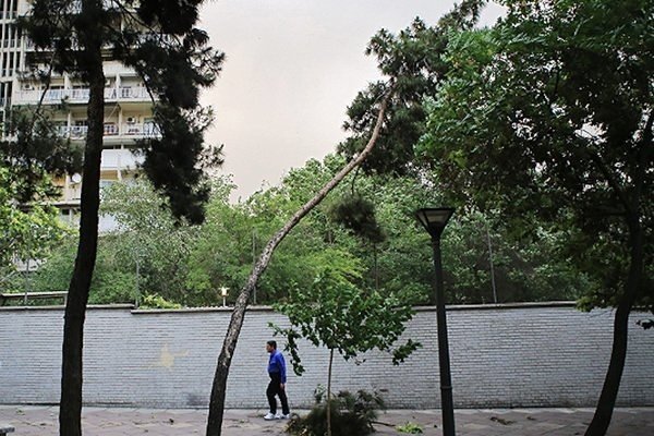 وزش باد در خراسان رضوی شدت میگیرد
