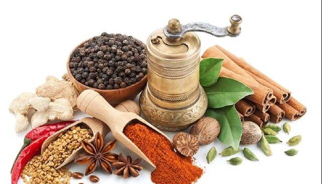 دومین کنگره ملی طب ایرانی، بستری برای تبادل علمی در این حوزه