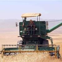 برداشت ۸ هزار تن محصول جو در شاهرود پیش بینی می‌شود