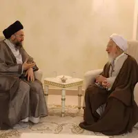 عکس/ دیدار آیت‌الله جوادی آملی با حکیم عمار